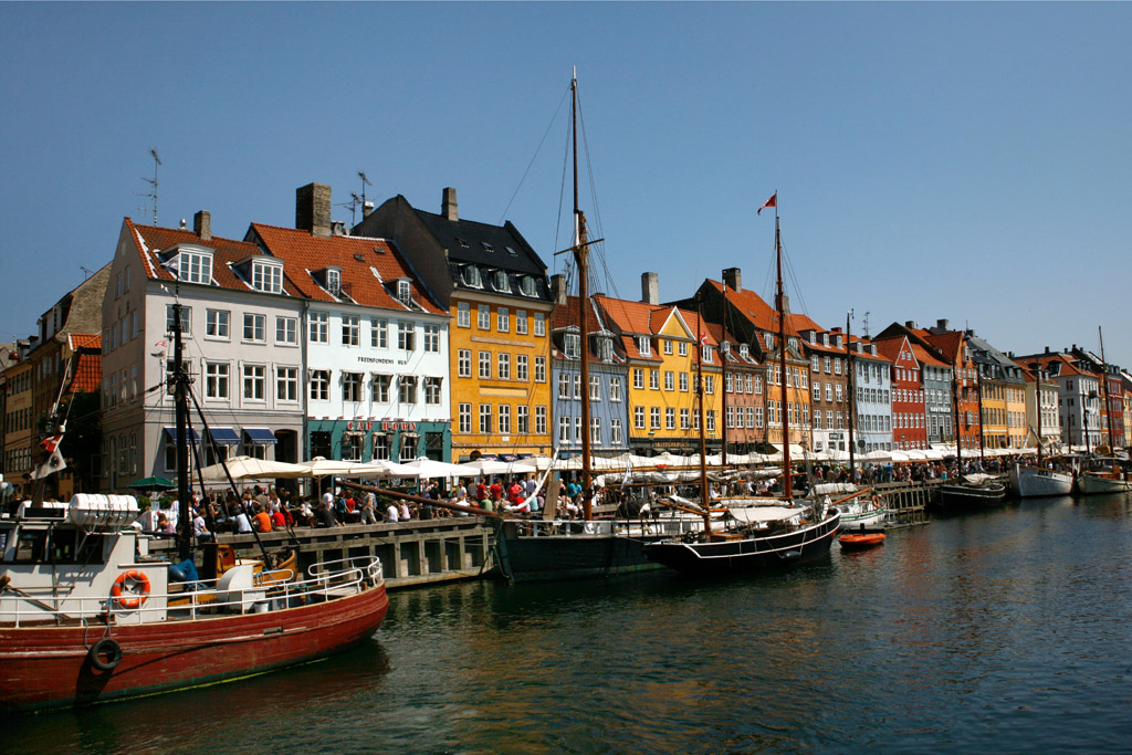 Dansko - Kodan